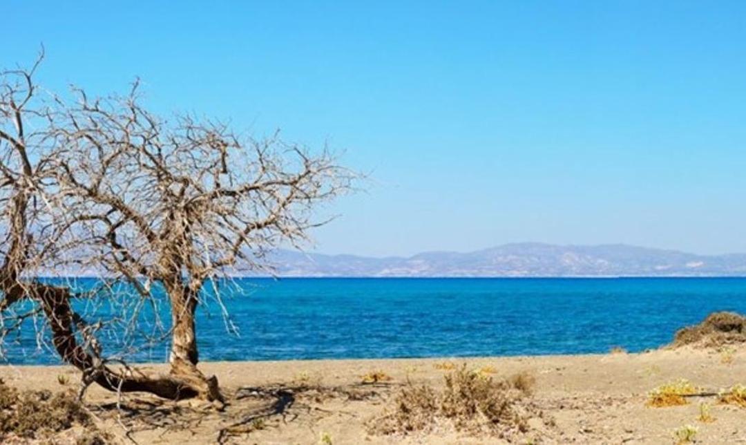 Ierapetra