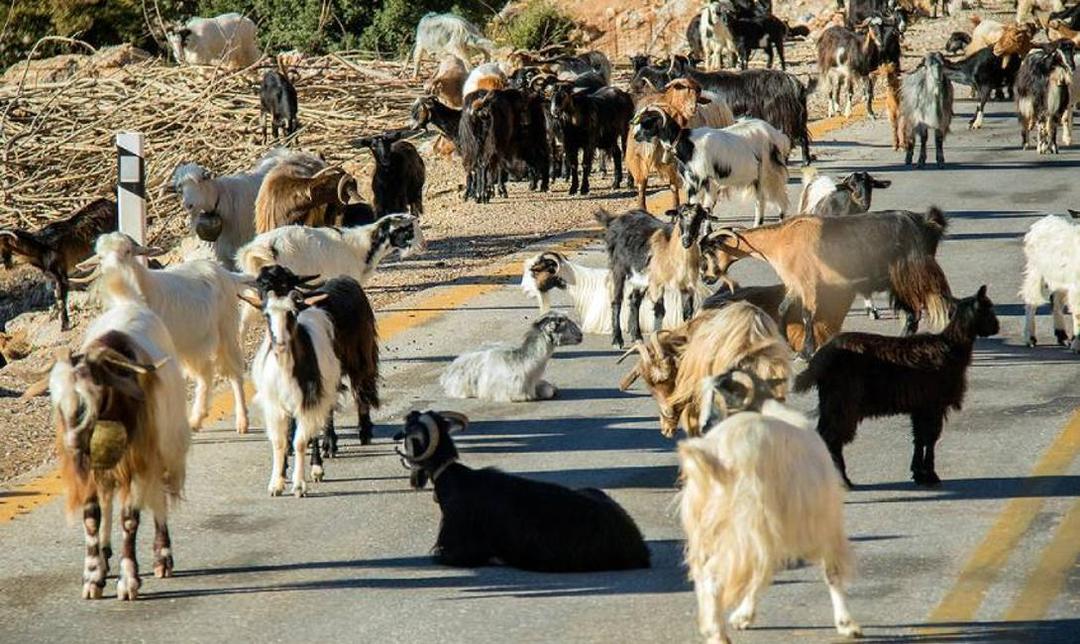 6 Tipps für sicheres Fahren auf Kreta