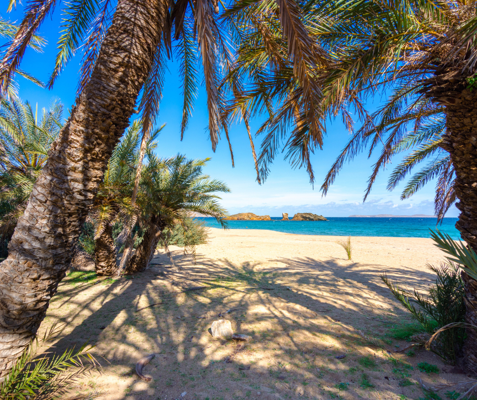 Plage de Vai Crète