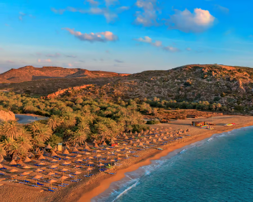 Vai palm beach in Crete